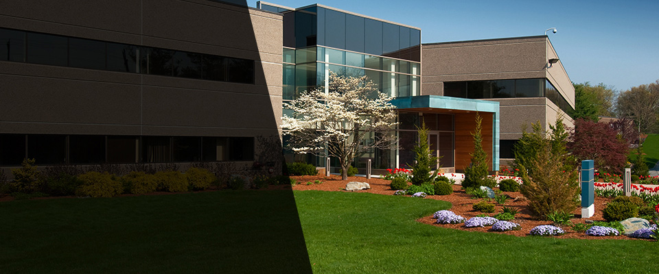 Santa Rosa Landscapers