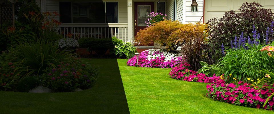 Santa Rosa Landscapers